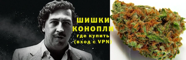 твердый Ростов