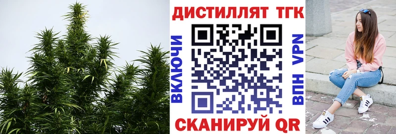 ТГК концентрат  Купить где  Котово 