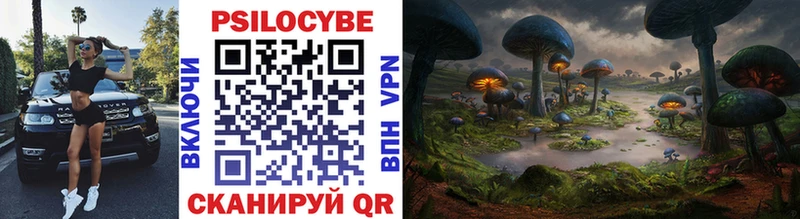 Галлюциногенные грибы Magic Shrooms  Купить  Котово 