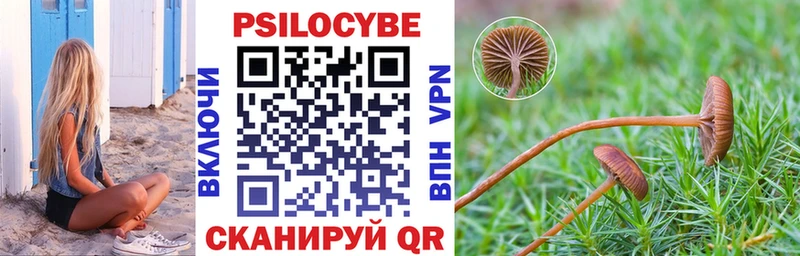 Галлюциногенные грибы прущие грибы Котово